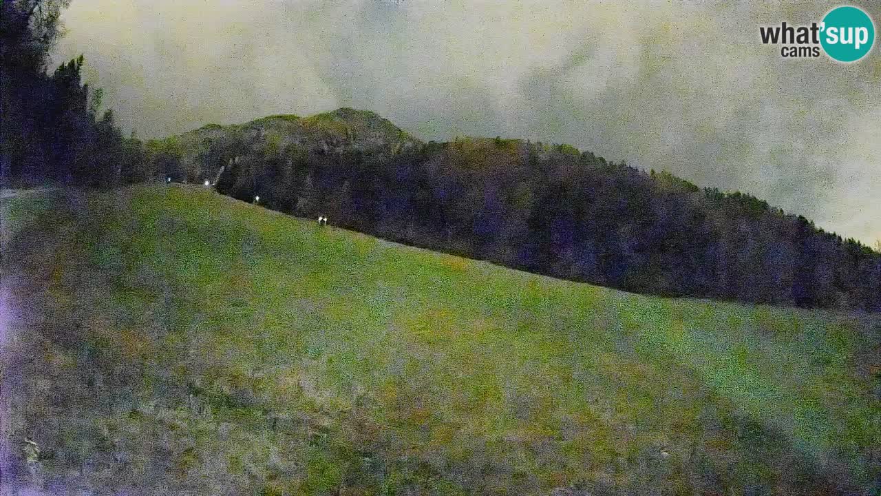 Kranjska Gora SKIJANJE | Brsnina