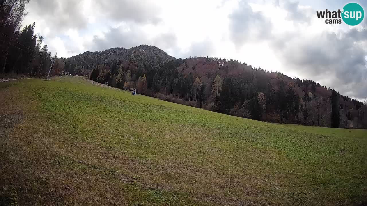 RTC Skigebiet Kranjska Gora | Brsnina