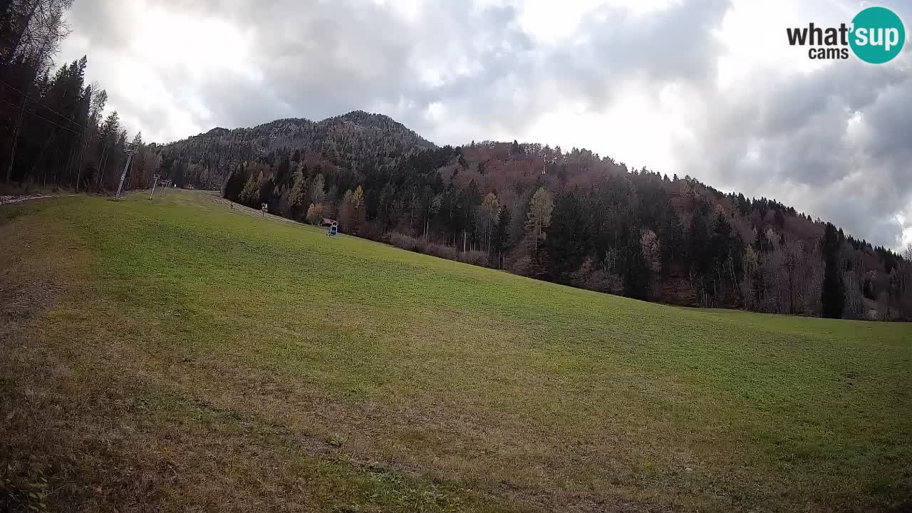 RTC Skigebiet Kranjska Gora | Brsnina