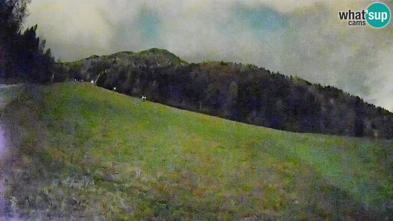 Kranjska Gora SKIJANJE | Brsnina