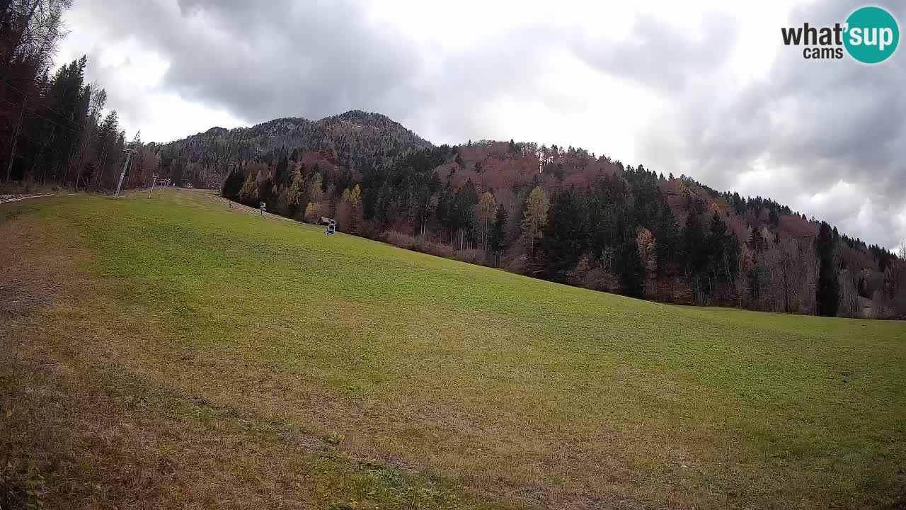 RTC Kranjska Gora | Brsnina