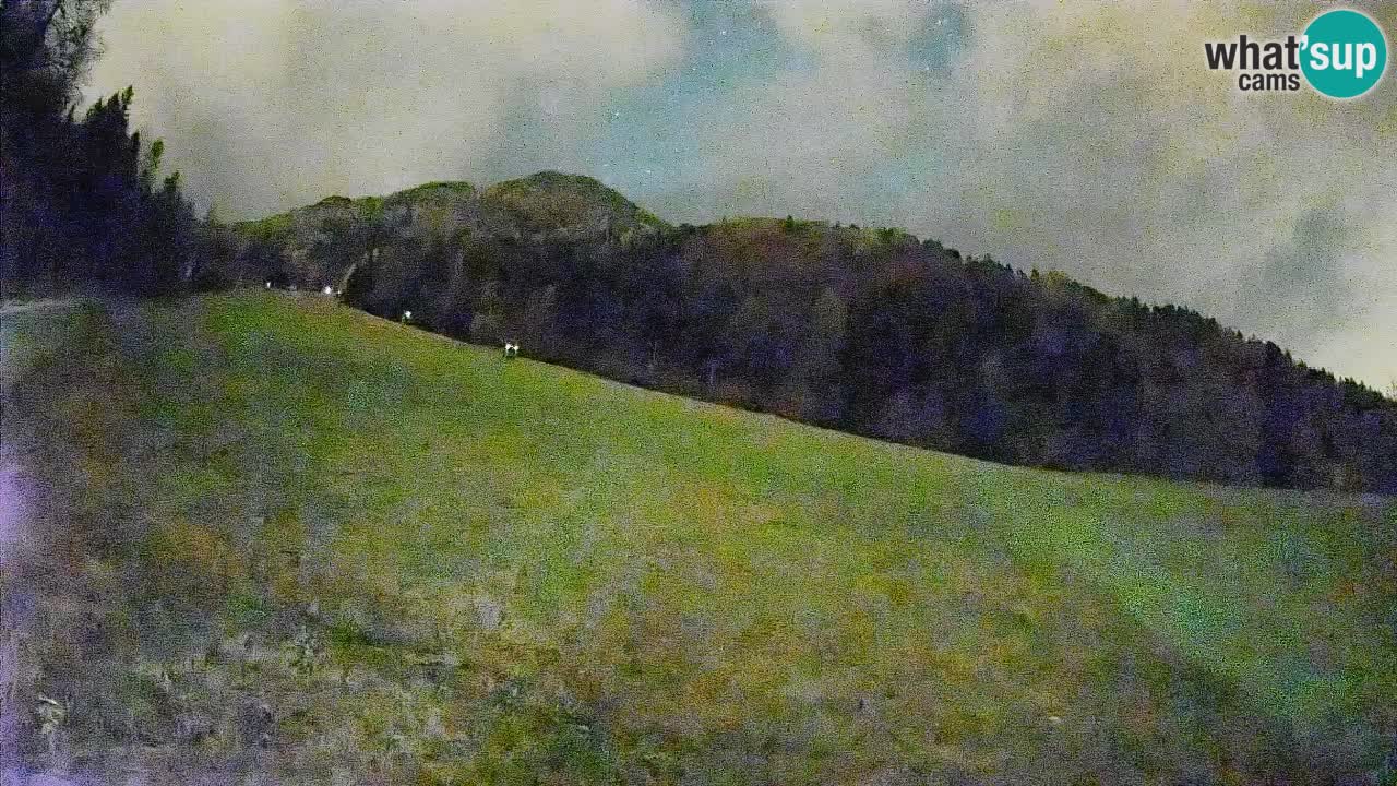 RTC Skigebiet Kranjska Gora | Brsnina