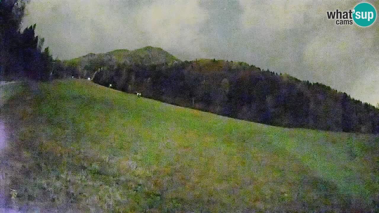 RTC Kranjska Gora | Brsnina