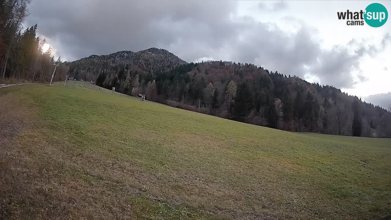 Esquí Kranjska Gora | Brsnina