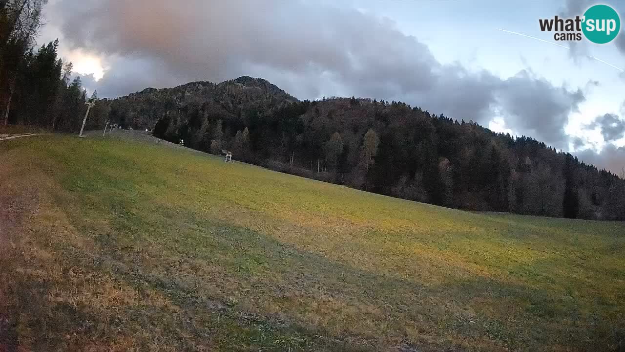 Esquí Kranjska Gora | Brsnina