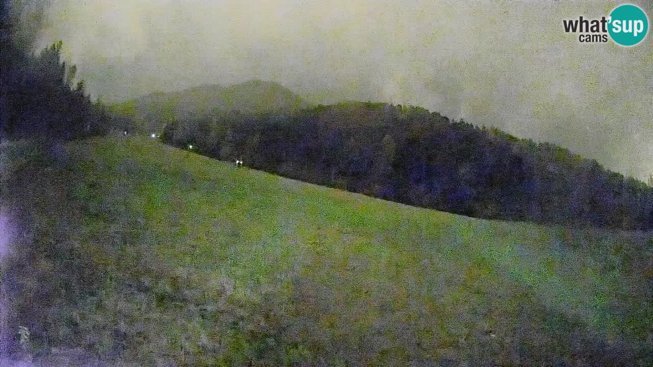 Kranjska Gora SKIJANJE | Brsnina