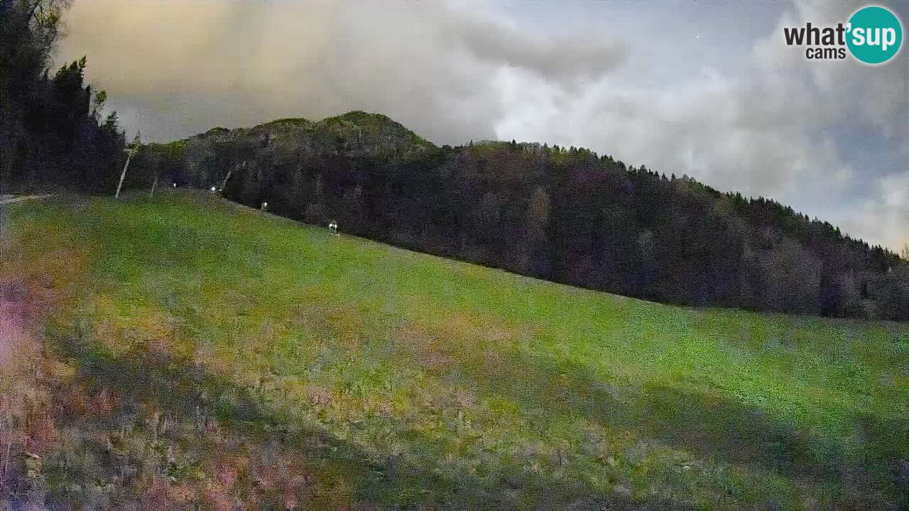 Ski Kranjska Gora | Brsnina