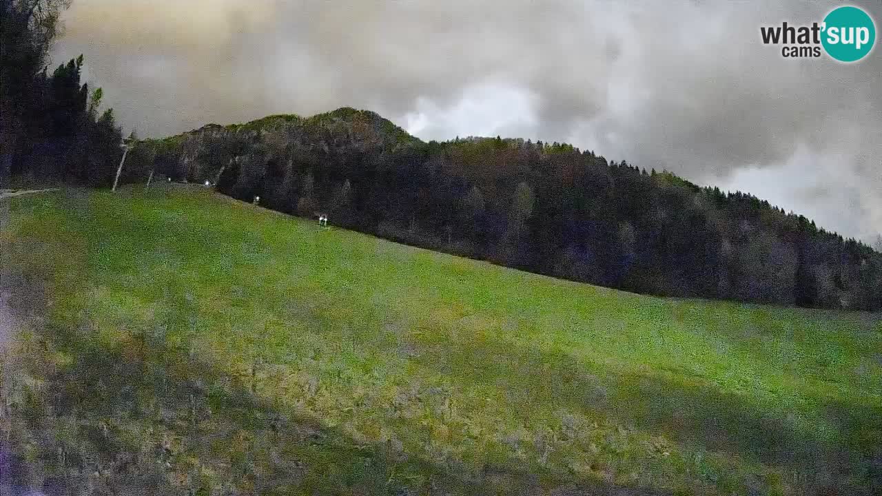 Ski Kranjska Gora | Brsnina