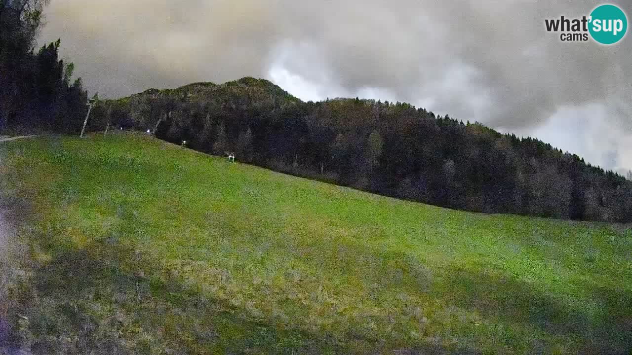 Comprensorio sciistico Kranjska Gora | Brsnina