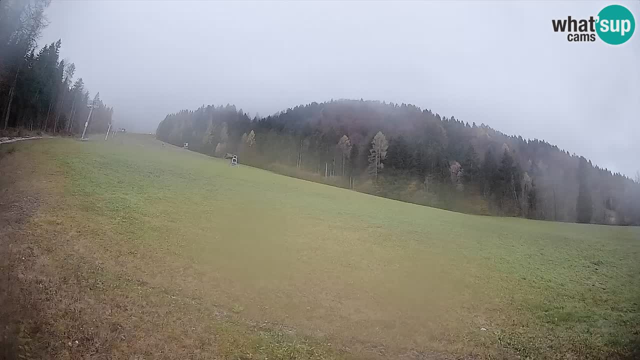 Kranjska Gora Station de ski | Brsnina