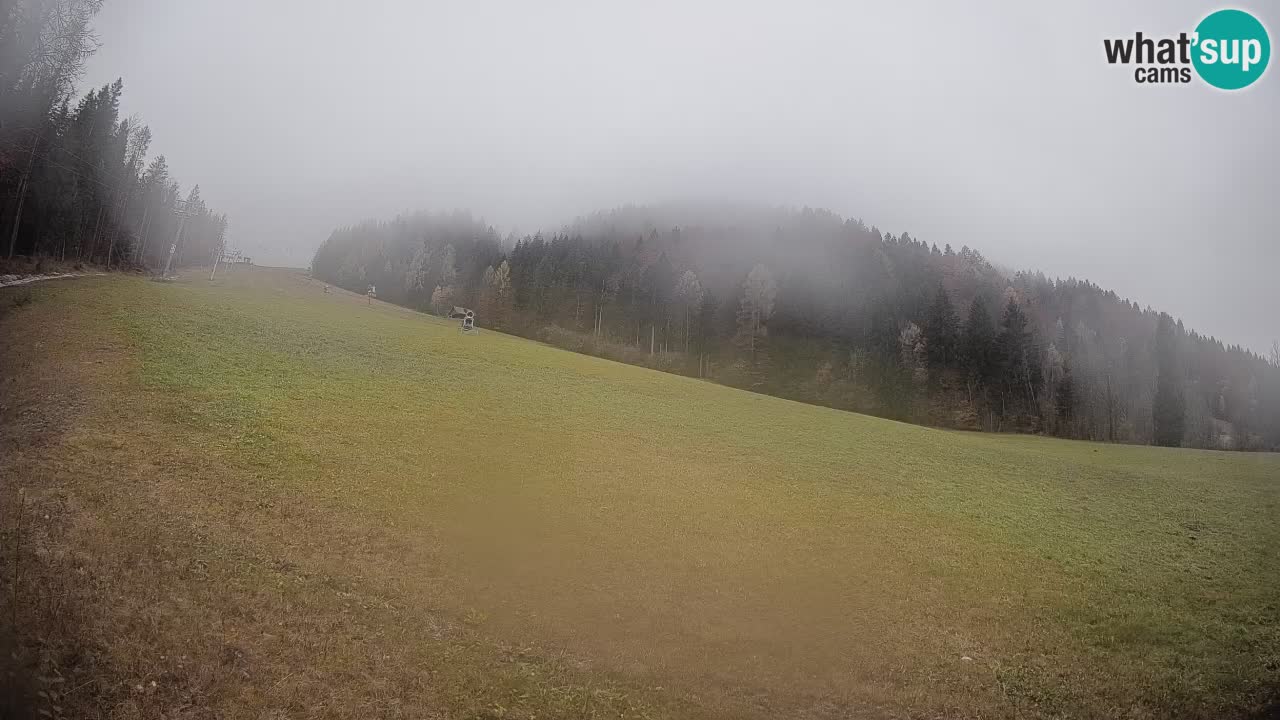 Kranjska Gora SKIJANJE | Brsnina