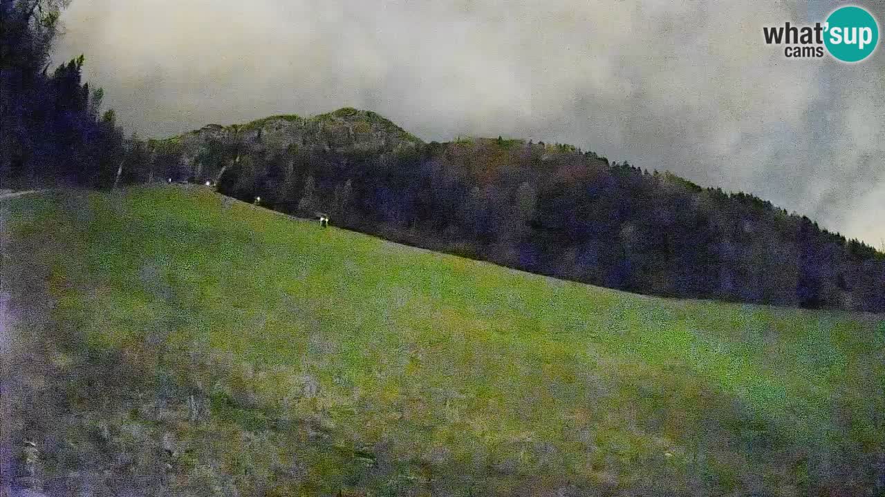 Kranjska Gora Station de ski | Brsnina