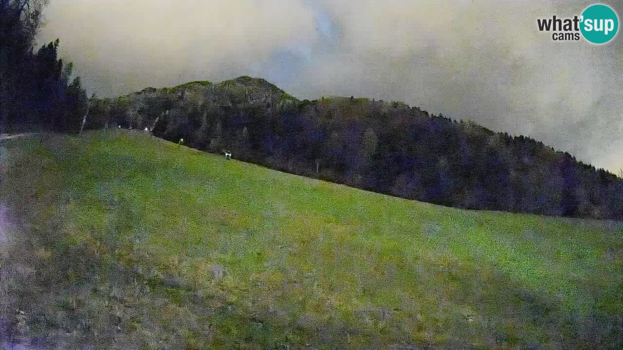 RTC Skigebiet Kranjska Gora | Brsnina