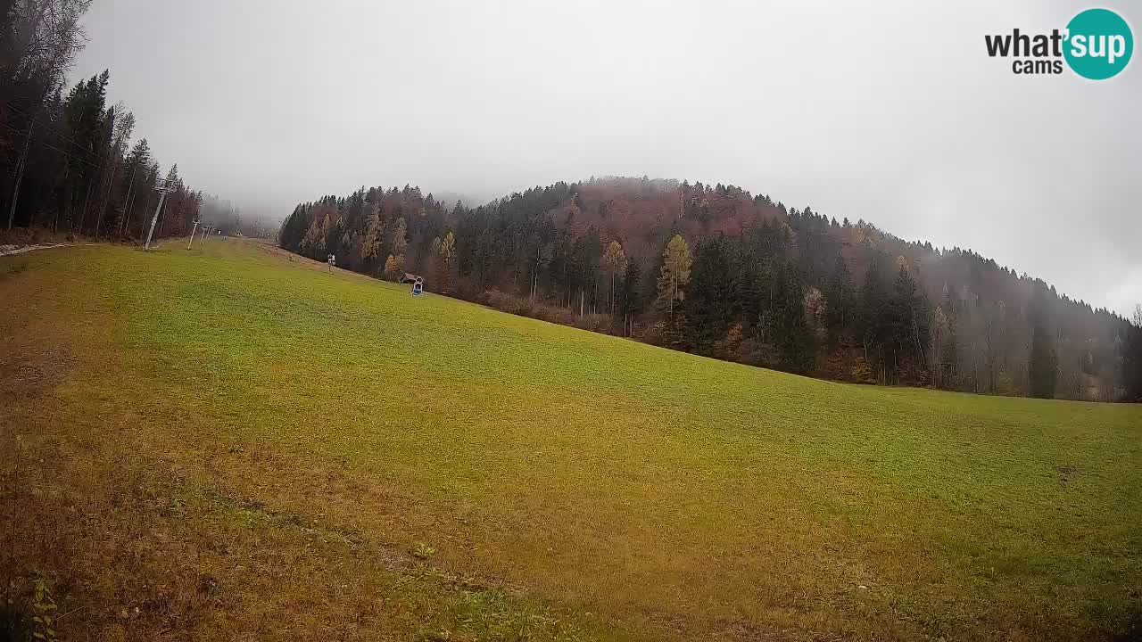 Kranjska Gora Station de ski | Brsnina
