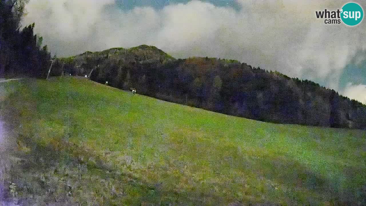 RTC Kranjska Gora | Brsnina