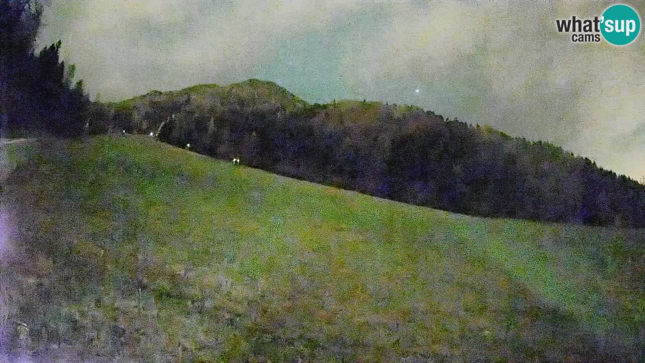 Kranjska Gora Station de ski | Brsnina