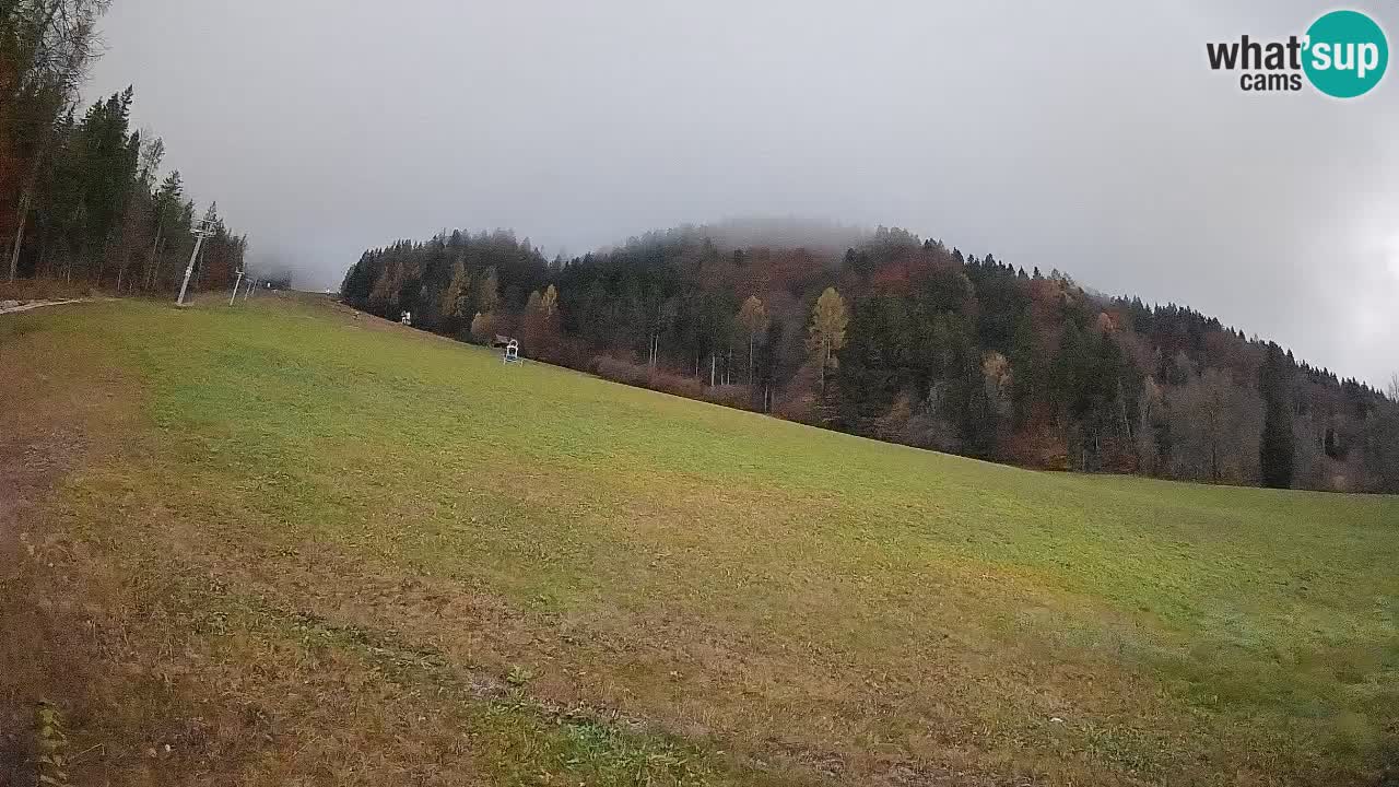 Ski Kranjska Gora | Brsnina