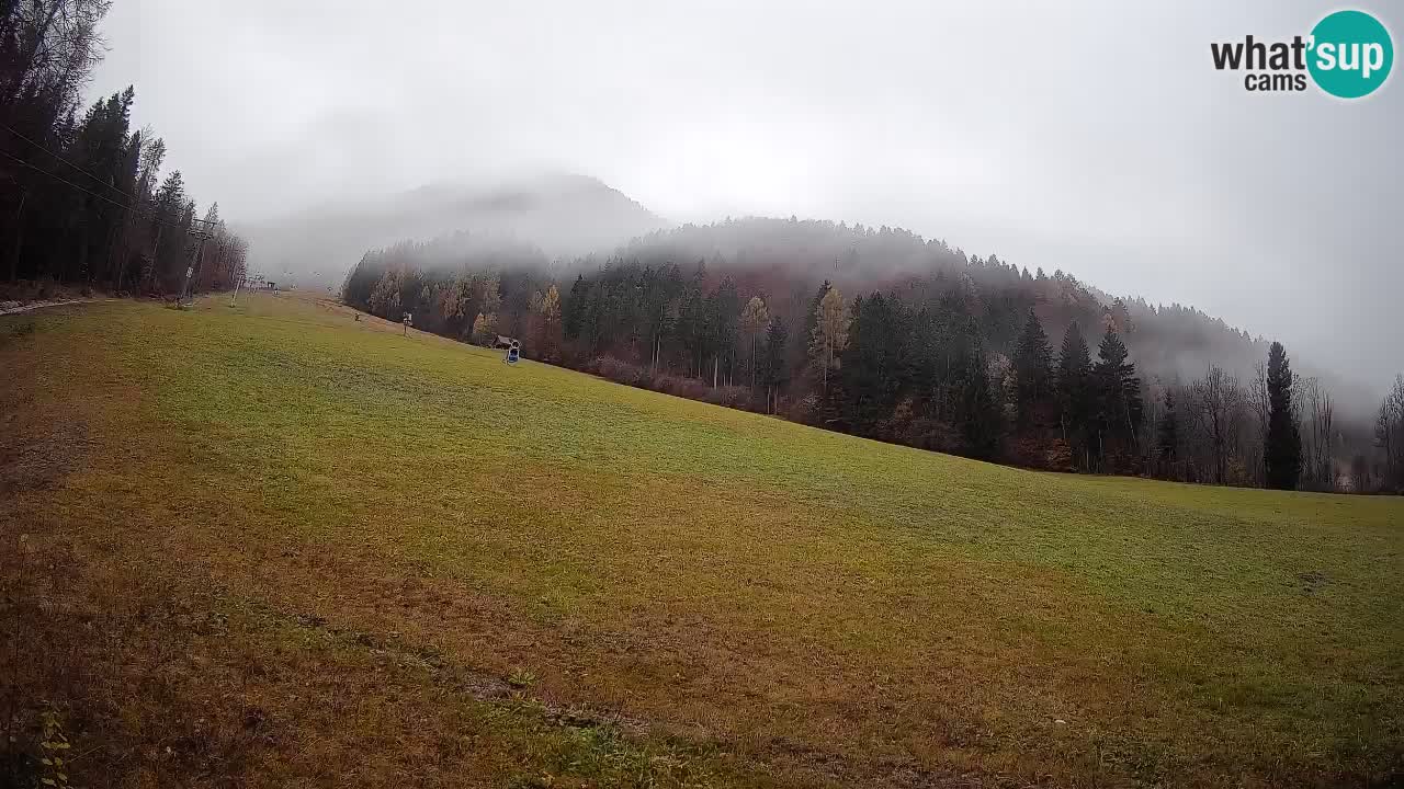 RTC Skigebiet Kranjska Gora | Brsnina