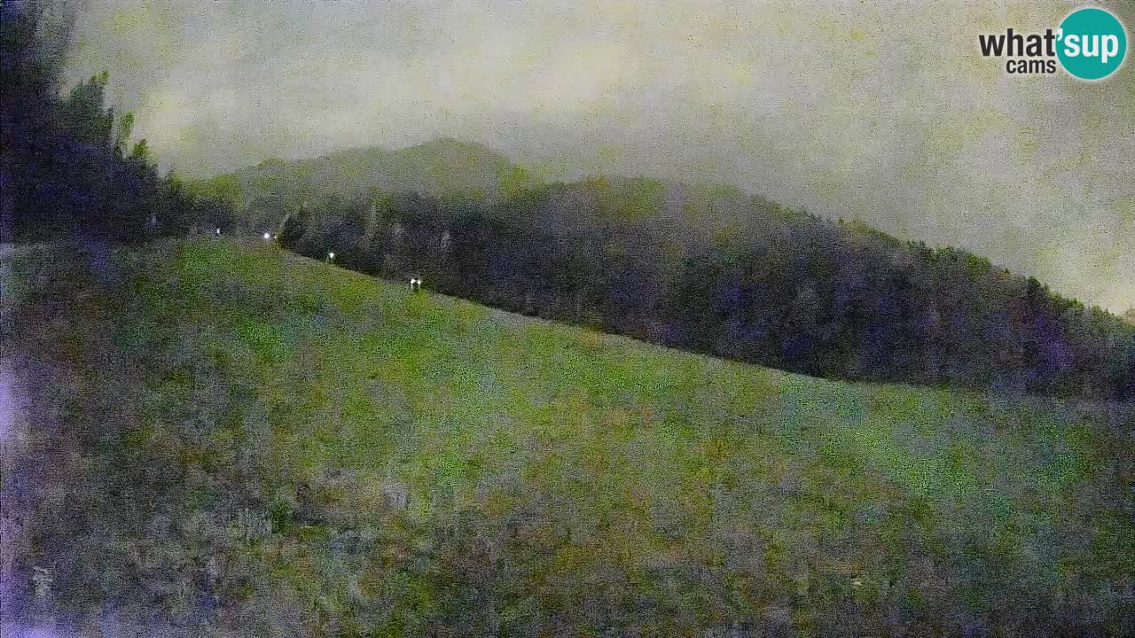 RTC Skigebiet Kranjska Gora | Brsnina