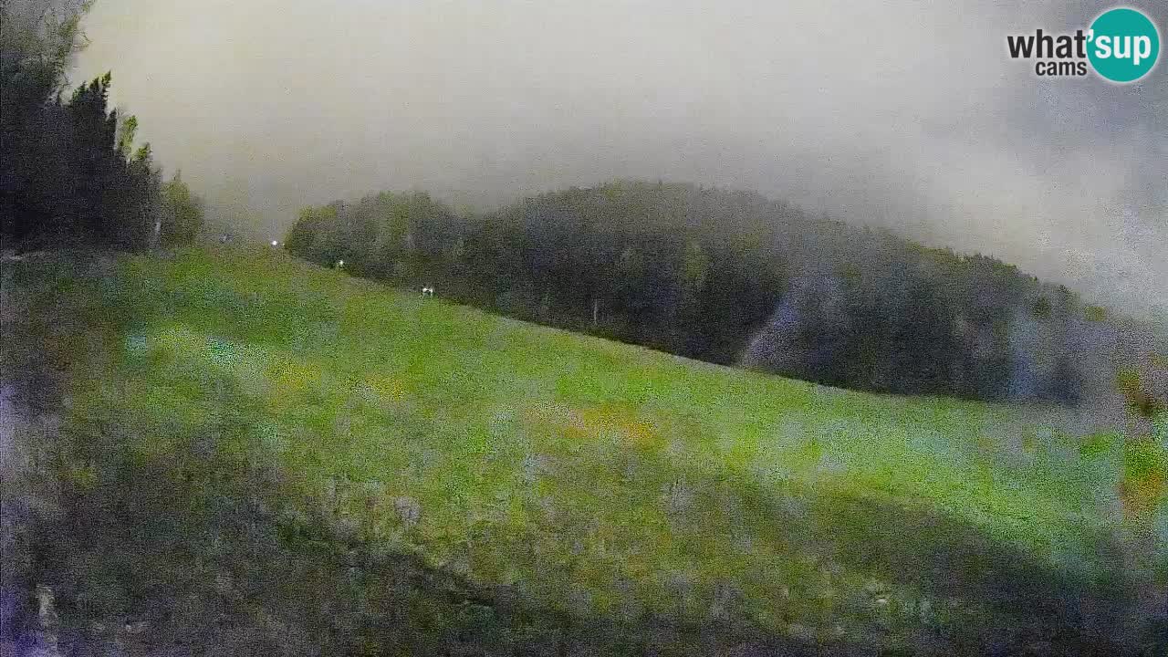 Esquí Kranjska Gora | Brsnina