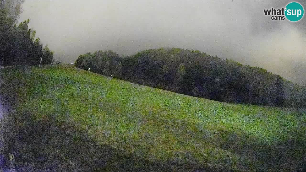 Esquí Kranjska Gora | Brsnina