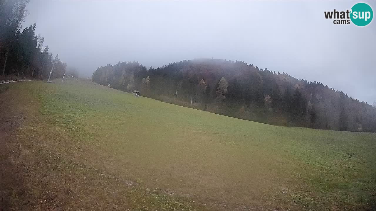 Ski Kranjska Gora | Brsnina