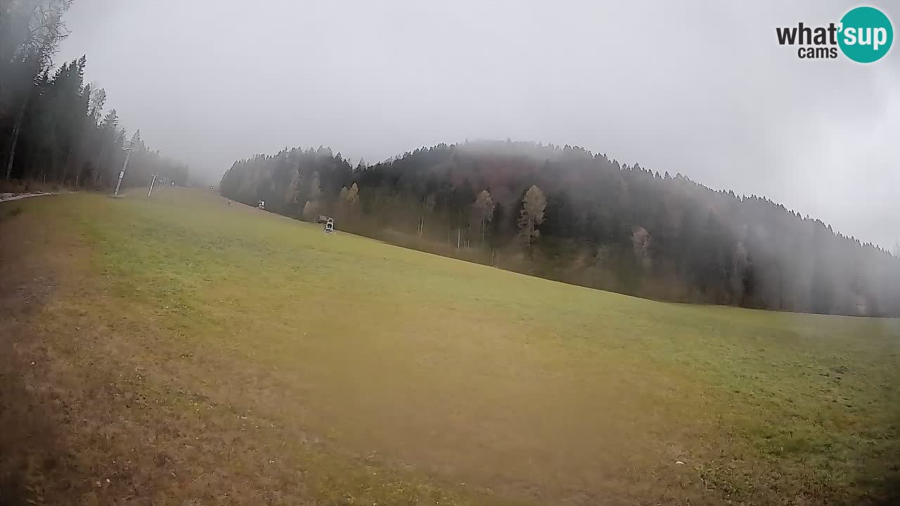 RTC Skigebiet Kranjska Gora | Brsnina