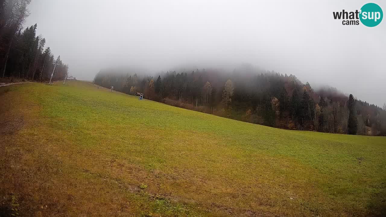 Esquí Kranjska Gora | Brsnina