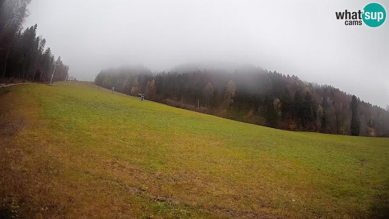 Esquí Kranjska Gora | Brsnina