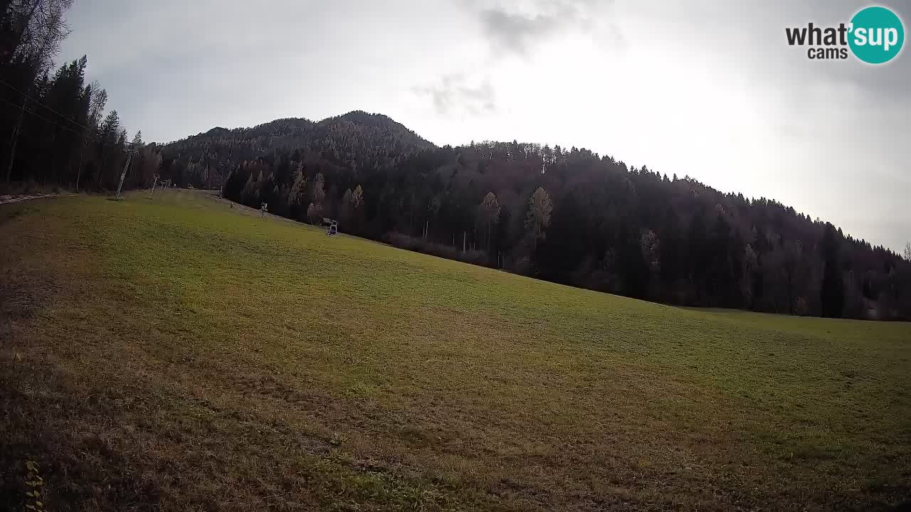 RTC Skigebiet Kranjska Gora | Brsnina
