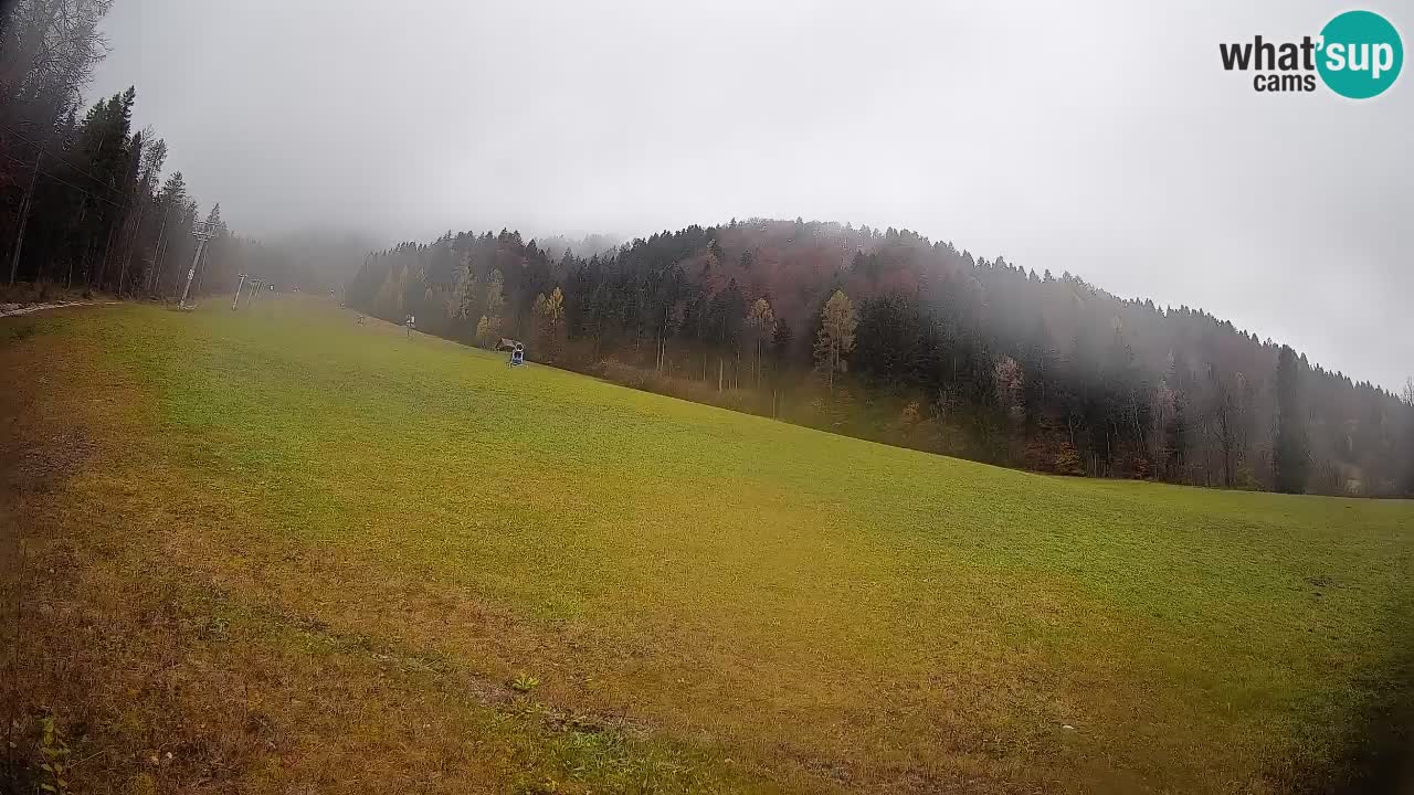 Comprensorio sciistico Kranjska Gora | Brsnina