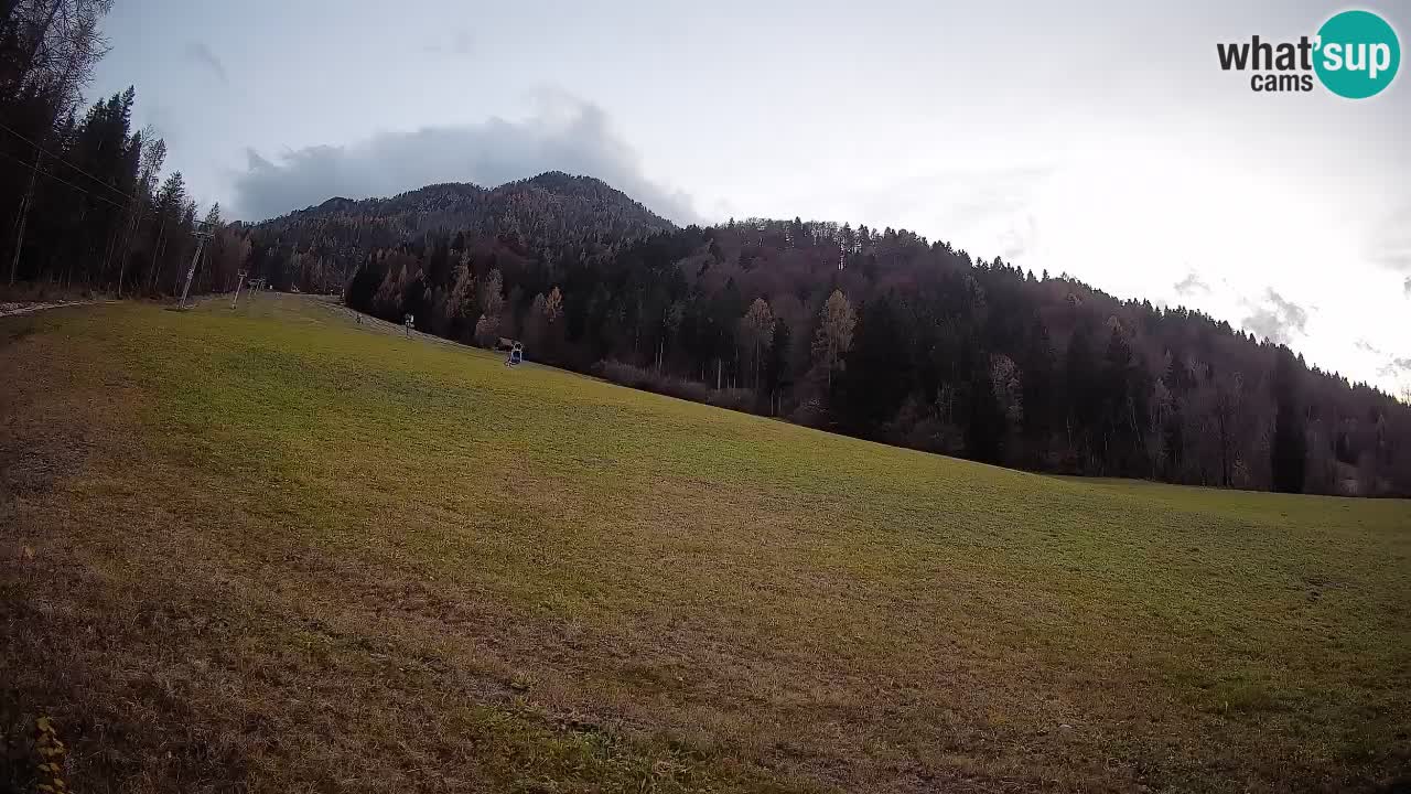 RTC Skigebiet Kranjska Gora | Brsnina