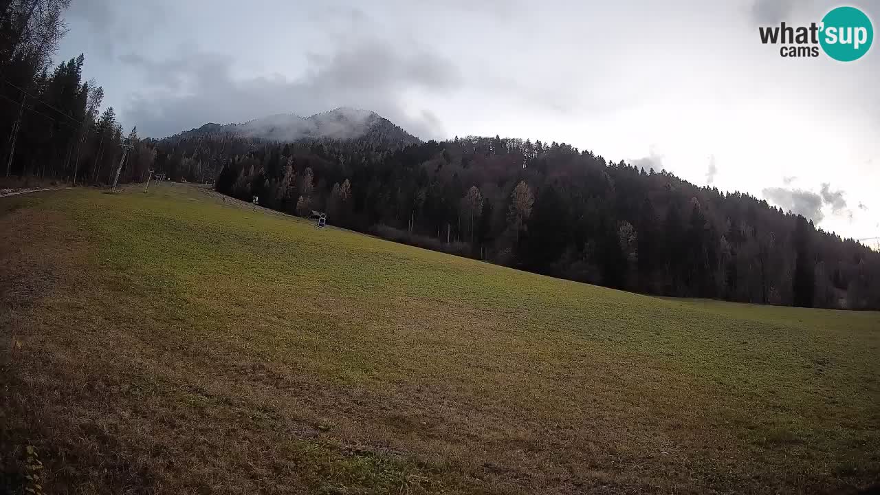 Ski Kranjska Gora | Brsnina