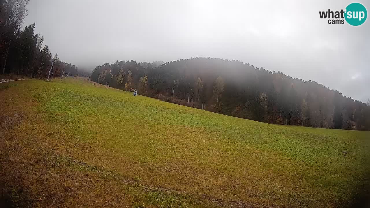 RTC Skigebiet Kranjska Gora | Brsnina