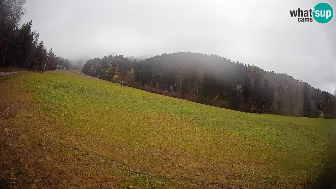 RTC Skigebiet Kranjska Gora | Brsnina