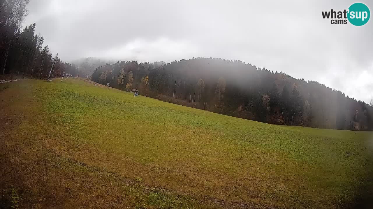 Comprensorio sciistico Kranjska Gora | Brsnina