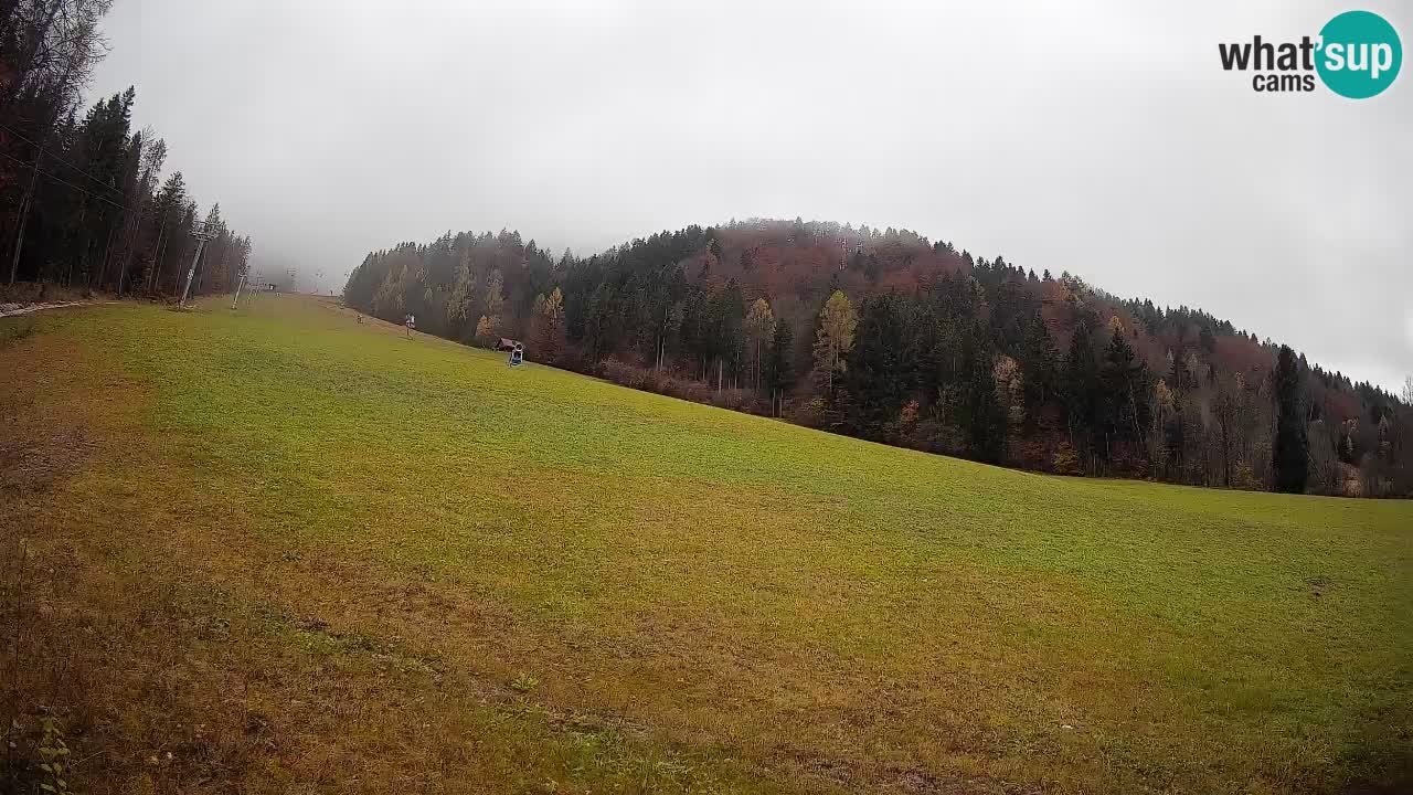 Comprensorio sciistico Kranjska Gora | Brsnina