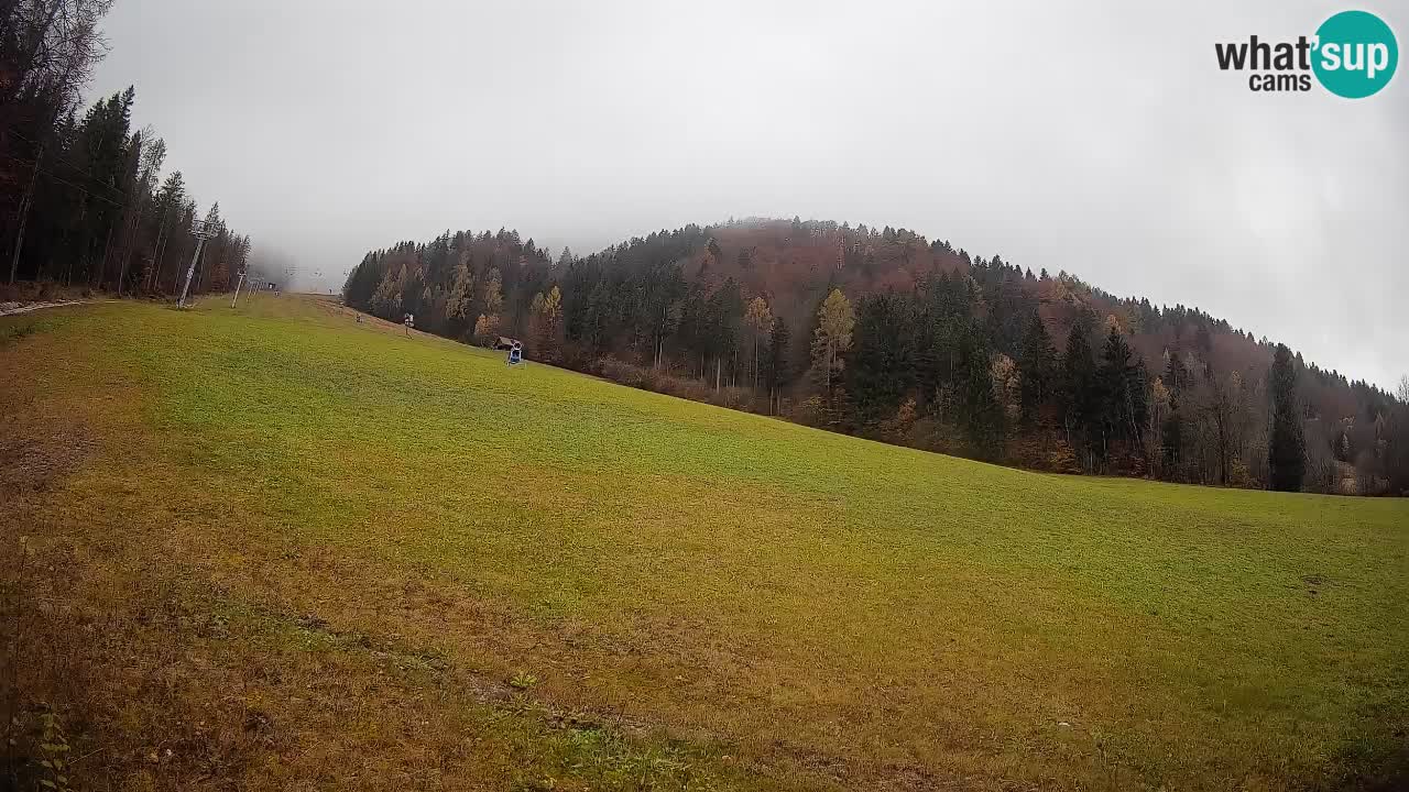 Comprensorio sciistico Kranjska Gora | Brsnina