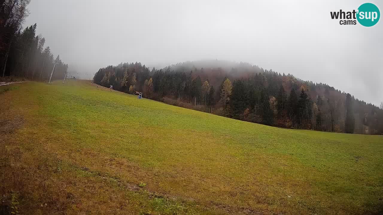 RTC Kranjska Gora | Brsnina