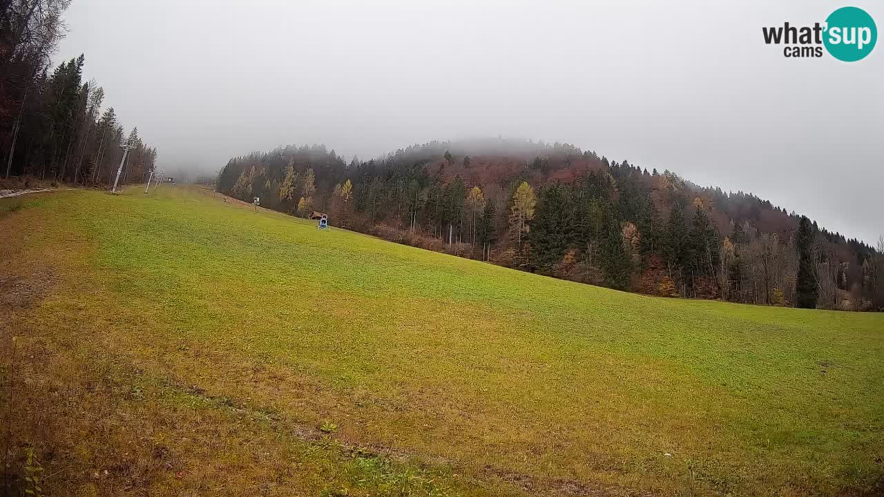 Ski Kranjska Gora | Brsnina