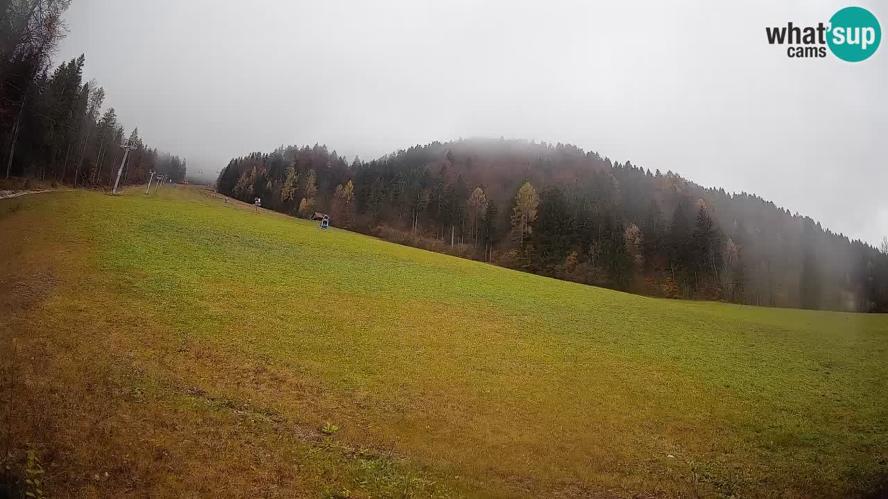 Comprensorio sciistico Kranjska Gora | Brsnina