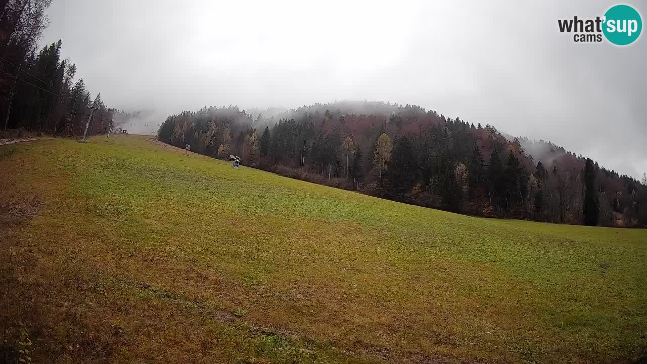 RTC Kranjska Gora | Brsnina