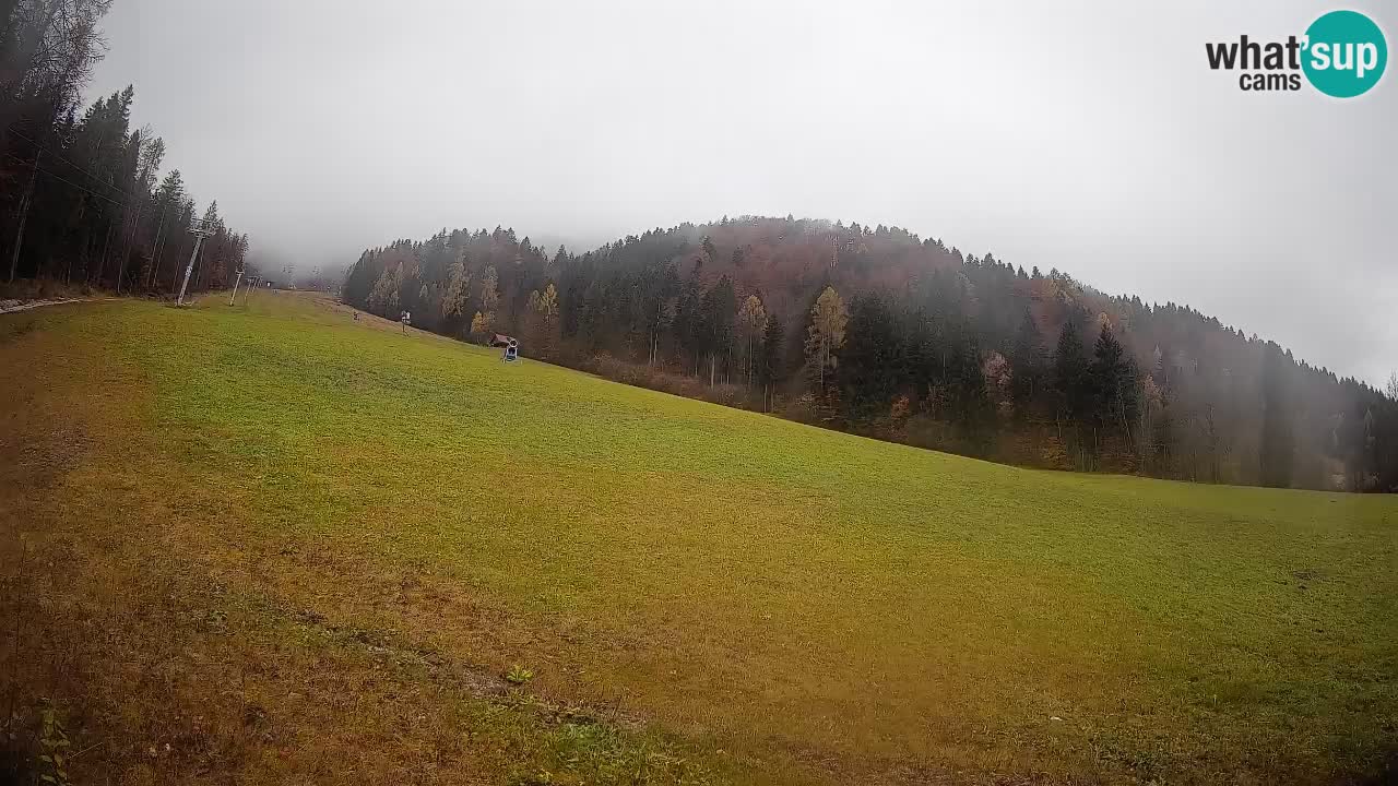 RTC Kranjska Gora | Brsnina