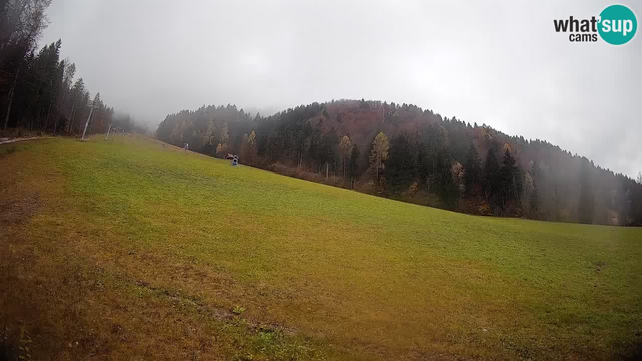 Kranjska Gora Station de ski | Brsnina