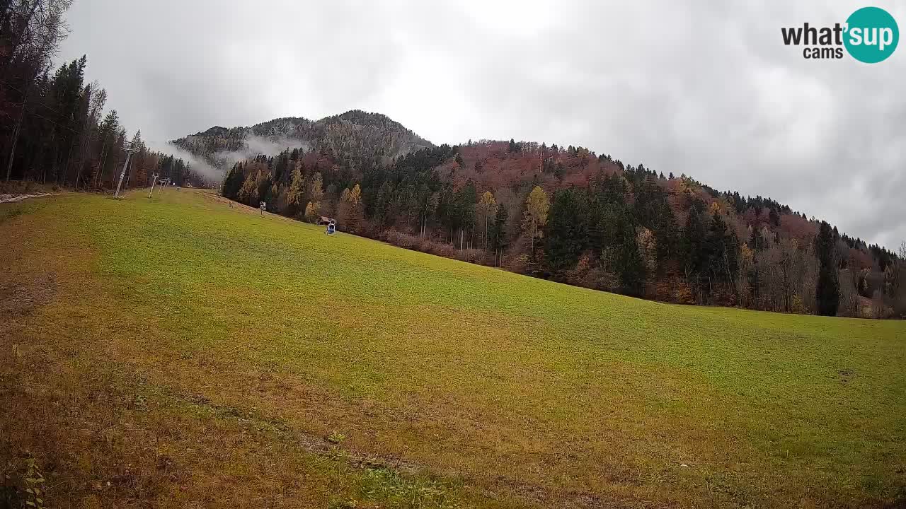 RTC Skigebiet Kranjska Gora | Brsnina