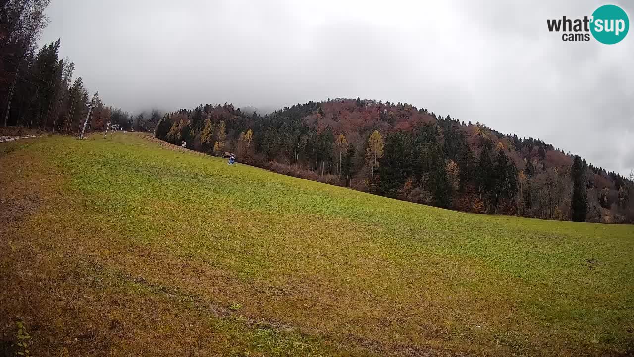 Kranjska Gora SKIJANJE | Brsnina