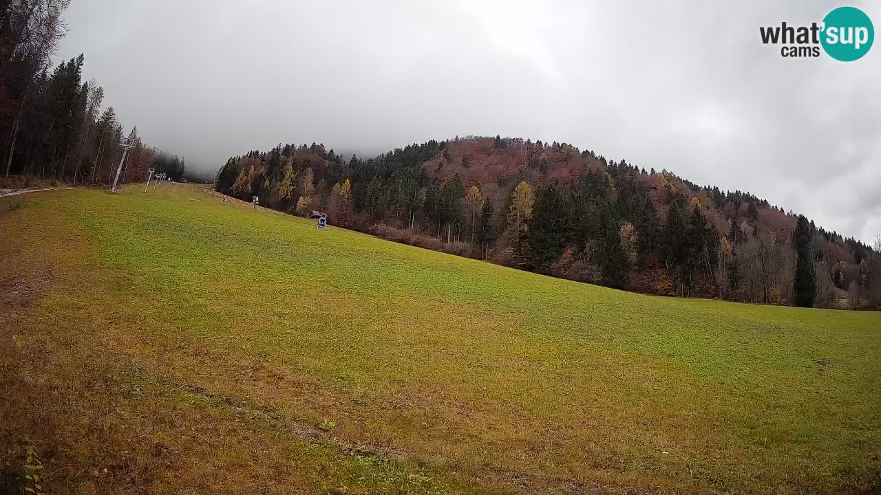 RTC Kranjska Gora | Brsnina