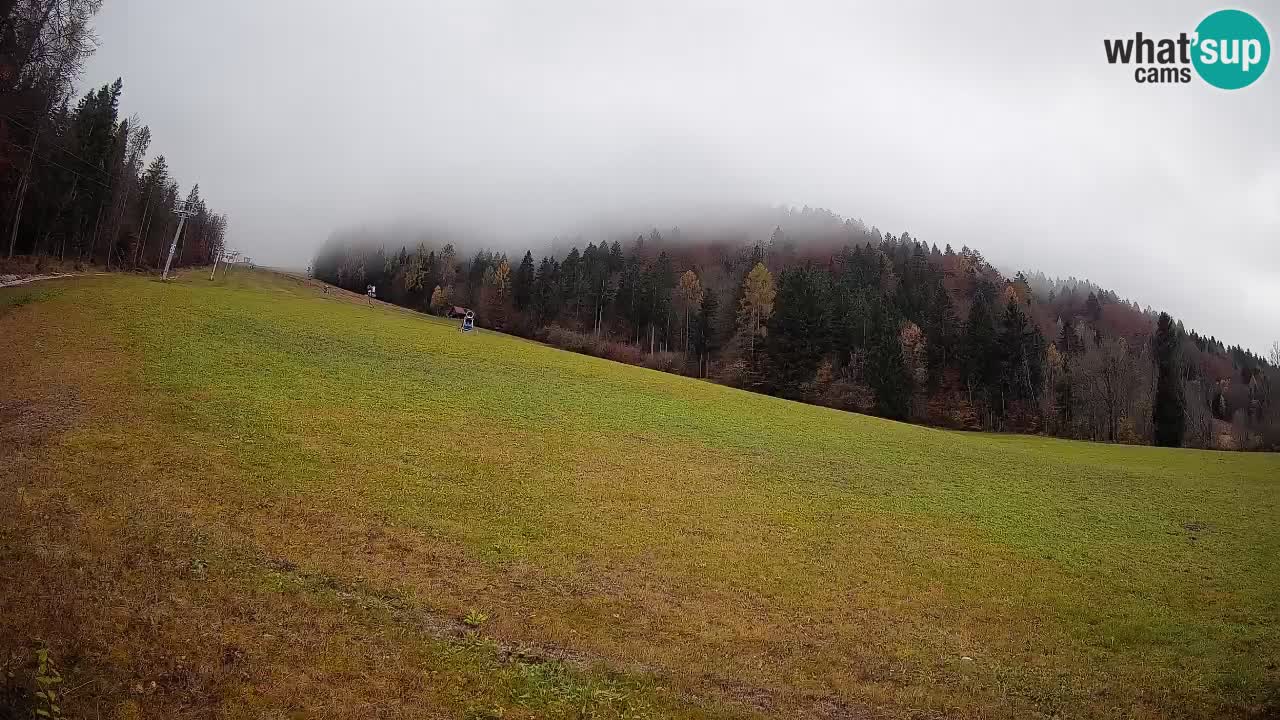 RTC Kranjska Gora | Brsnina