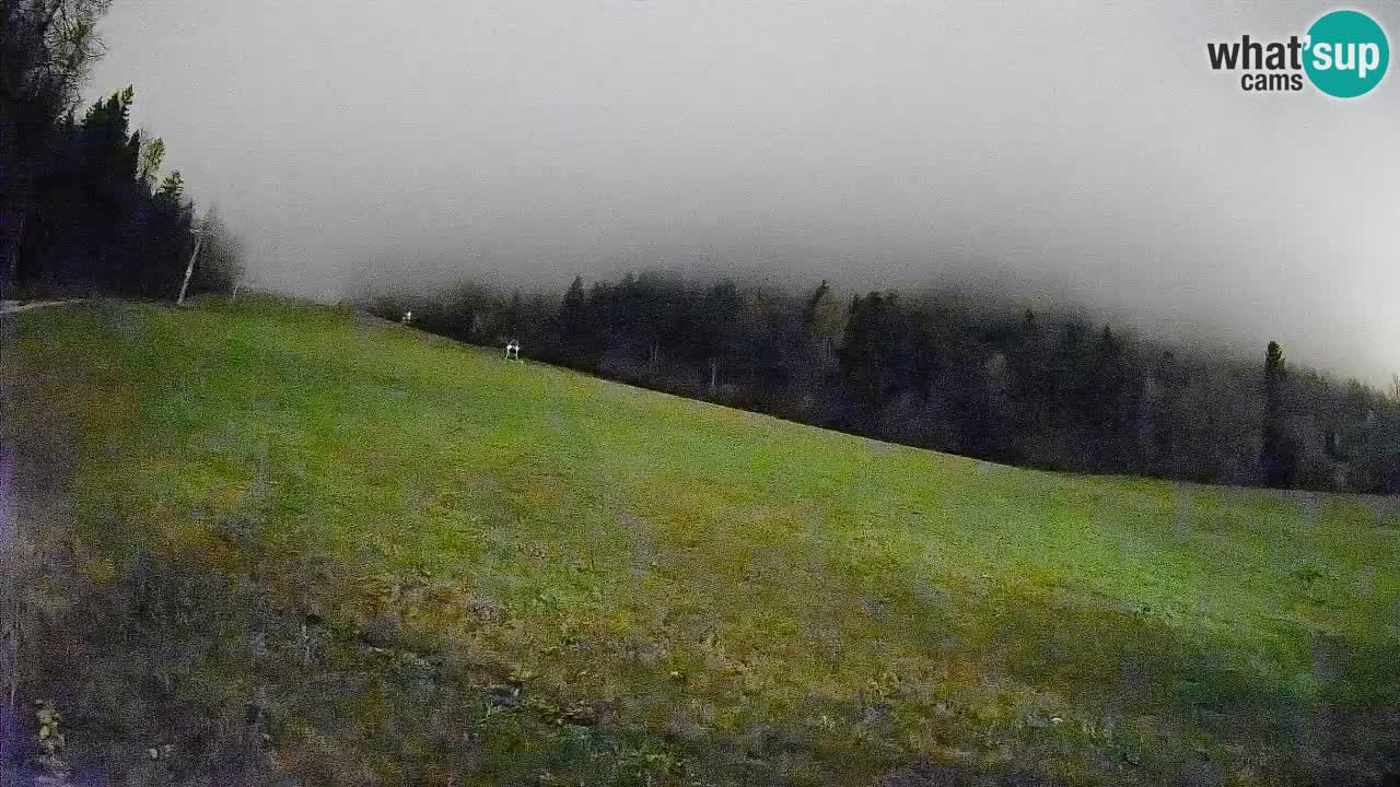 RTC Kranjska Gora | Brsnina