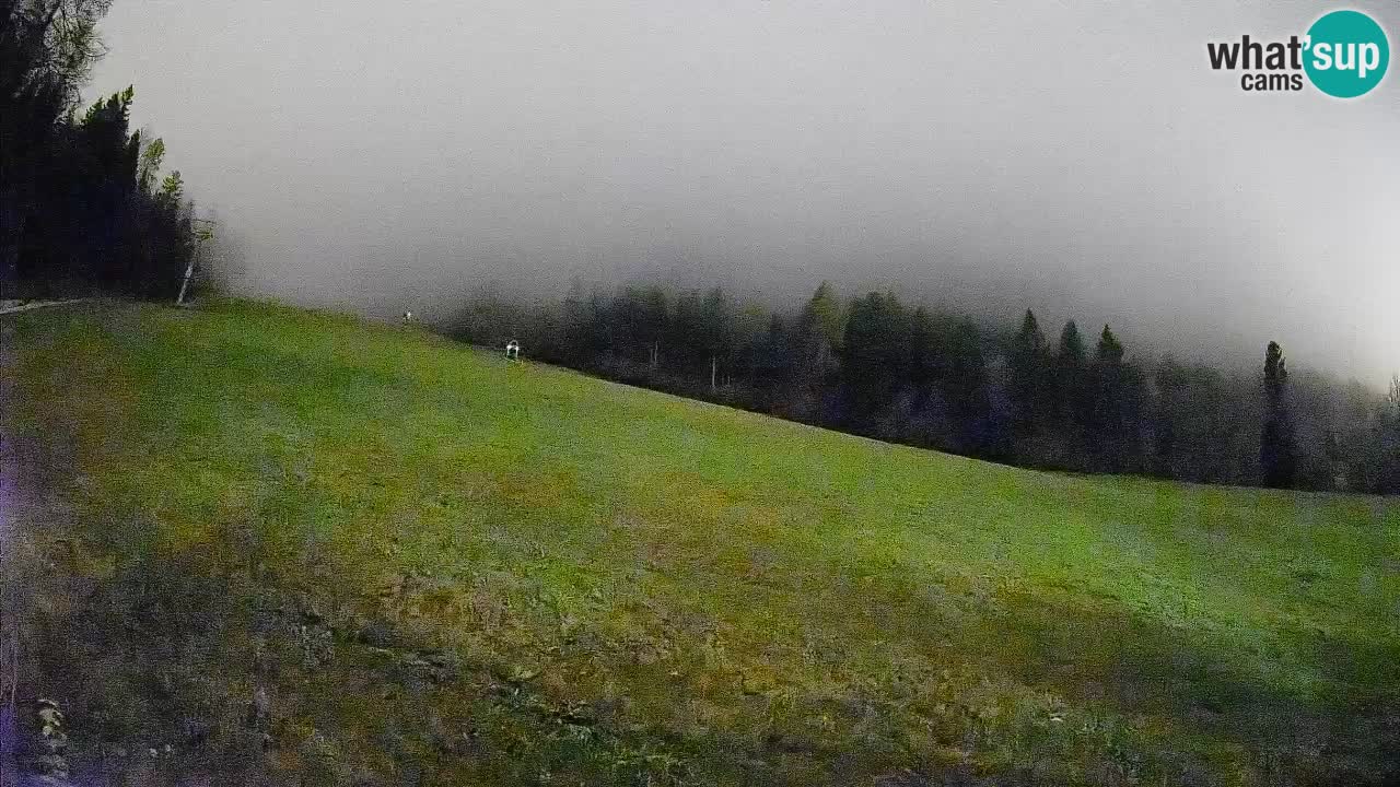 Comprensorio sciistico Kranjska Gora | Brsnina